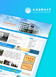 安徽網站建設首選品牌司瓦圖網絡 專業合肥網站建設與網絡服務引領者